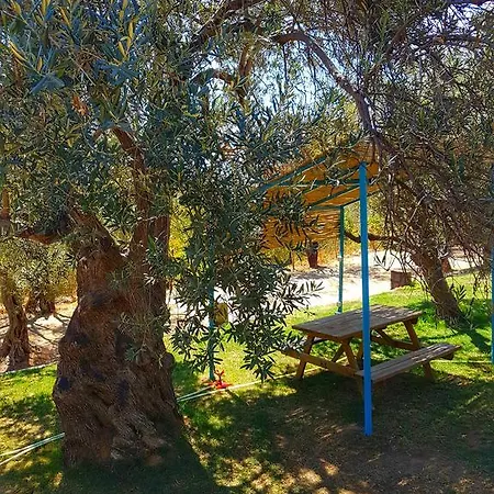 Kaz Daglari Albatross Dag Evleri Aparthotel Gure
